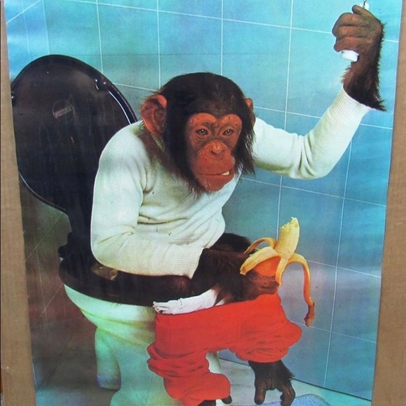 Meet your Posher, Mateo - Picture 1 of 1